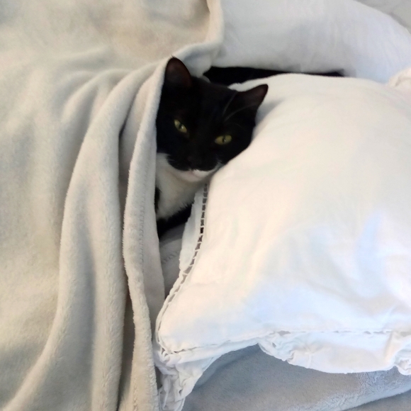 Meet your Posher, Sofia - Picture 1 of 5